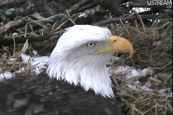 ScreenHunter_09 Feb. 21 10.53.jpg